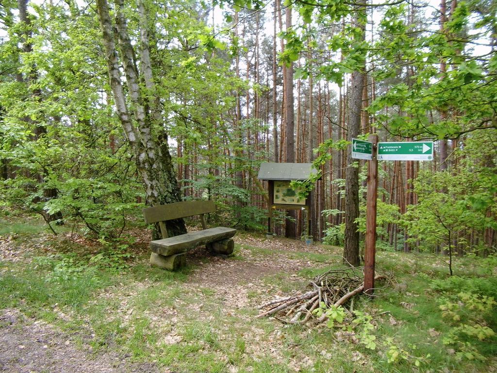 Hotel Steinhagen Damnatz Екстериор снимка